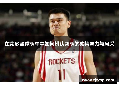 在众多篮球明星中如何辨认姚明的独特魅力与风采